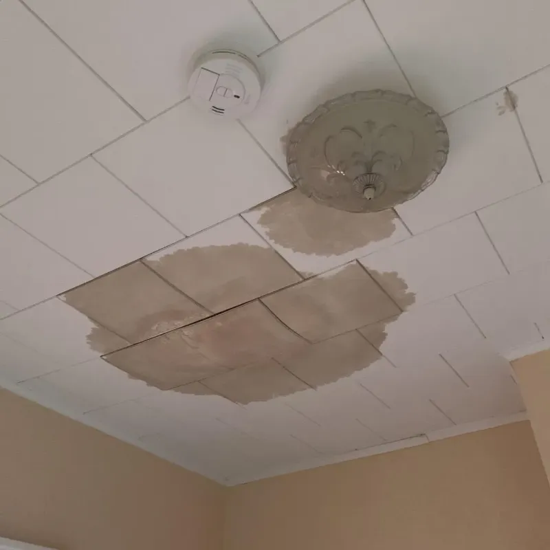 Ceiling Water Damage Repair in Walnut Grove, GA